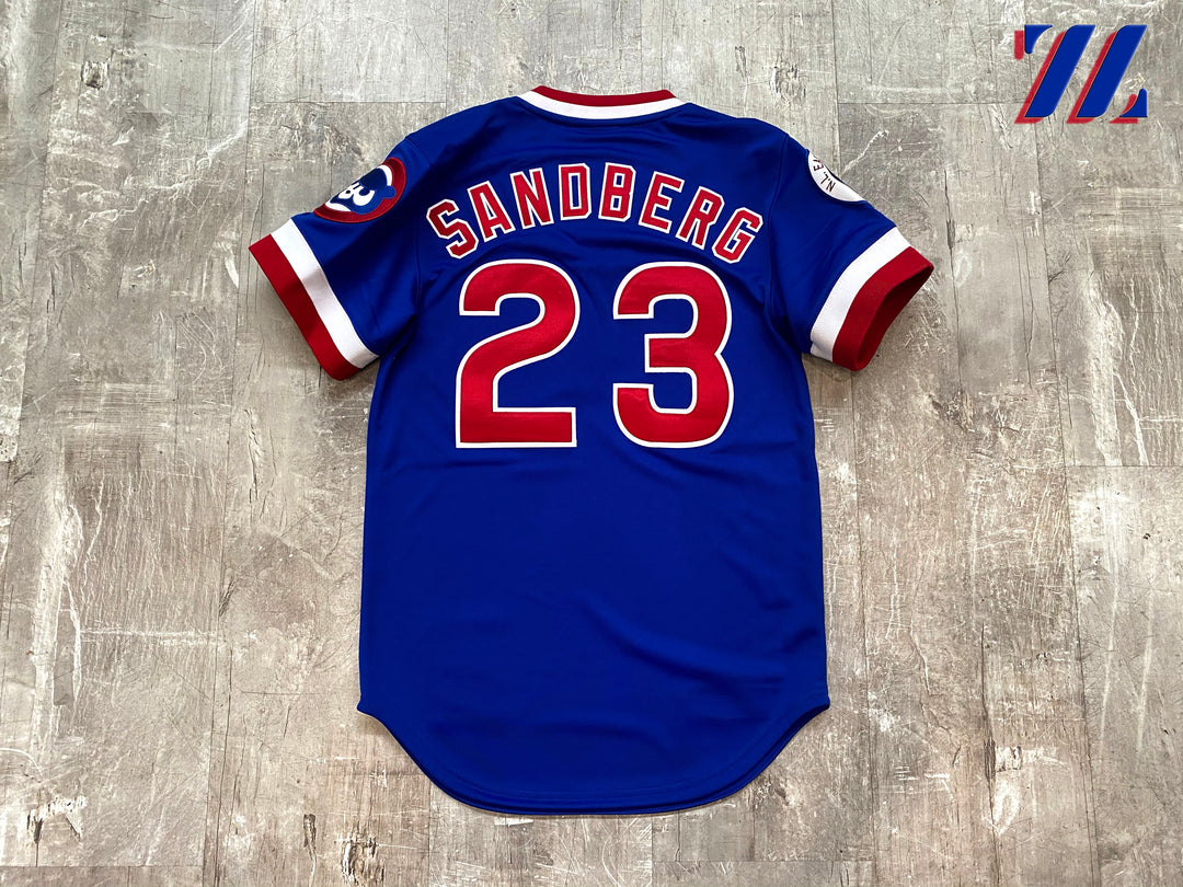 Men's Mitchell & Ness Authentic Chicago Cubs Jersey – SUCCEZZ BY B&VDOT