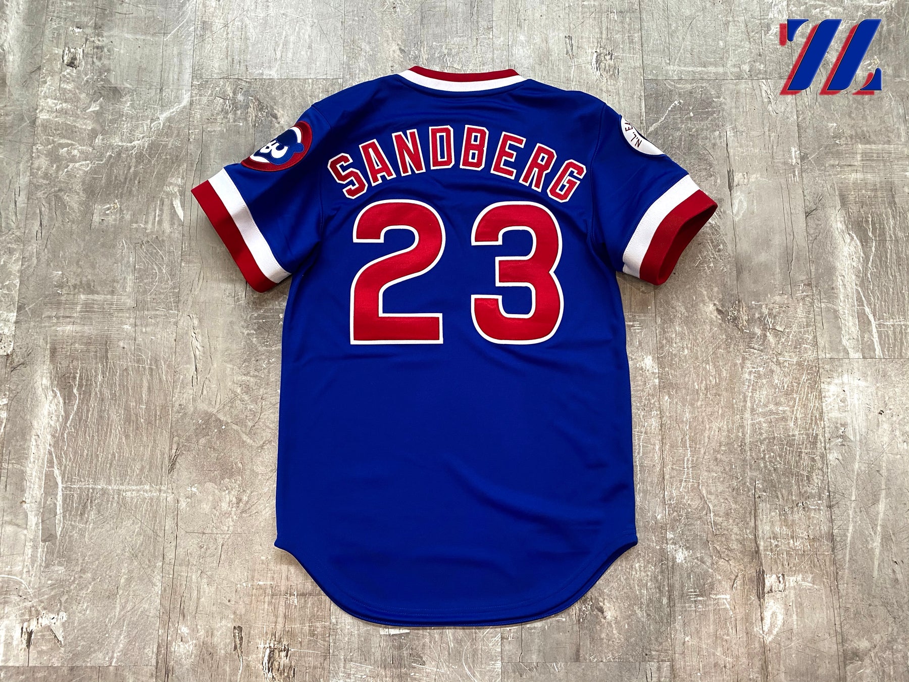 Men's Mitchell & Ness Authentic Chicago Cubs Jersey – SUCCEZZ BY